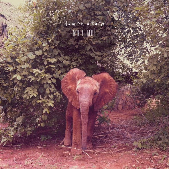 Mr. Tembo