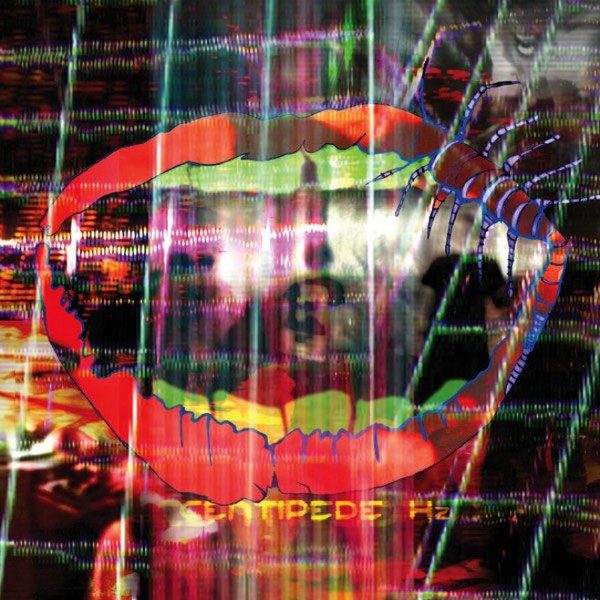 animal-collective