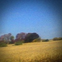 sun kil moon benji